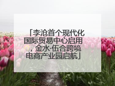 李沧首个现代化国际贸易中心启用，金水·伍合跨境电商产业园启航