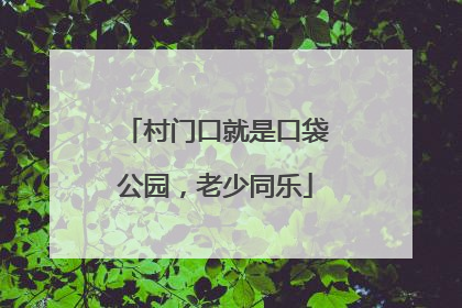 村门口就是口袋公园，老少同乐