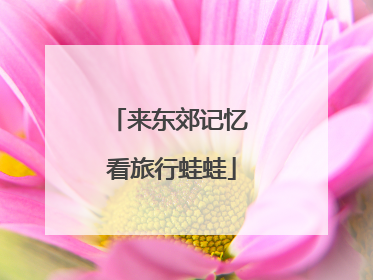 来东郊记忆 看旅行蛙蛙