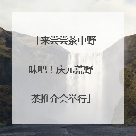 来尝尝茶中野味吧！庆元荒野茶推介会举行