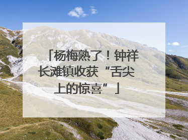 杨梅熟了！钟祥长滩镇收获“舌尖上的惊喜”