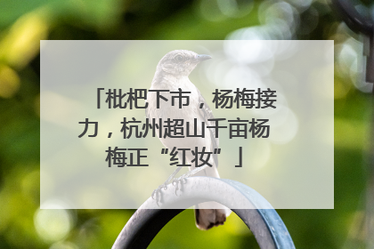 枇杷下市，杨梅接力，杭州超山千亩杨梅正“红妆”