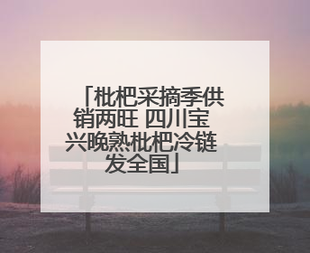 枇杷采摘季供销两旺 四川宝兴晚熟枇杷冷链发全国