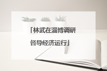 林武在淄博调研督导经济运行