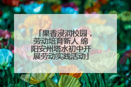 果香浸润校园，劳动培育新人 绵阳安州塔水初中开展劳动实践活动