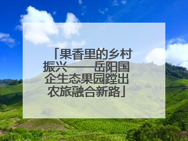 果香里的乡村振兴——岳阳国企生态果园蹚出农旅融合新路