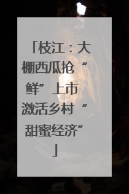 枝江：大棚西瓜抢“鲜”上市 激活乡村“甜蜜经济”