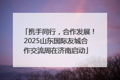 携手同行，合作发展！2025山东国际友城合作交流周在济南启动