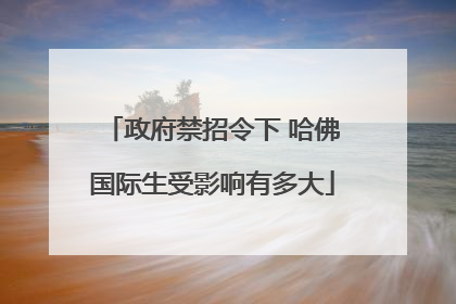 政府禁招令下 哈佛国际生受影响有多大