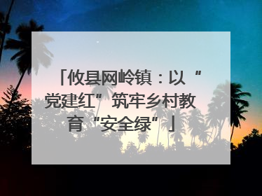 攸县网岭镇：以“党建红”筑牢乡村教育“安全绿”