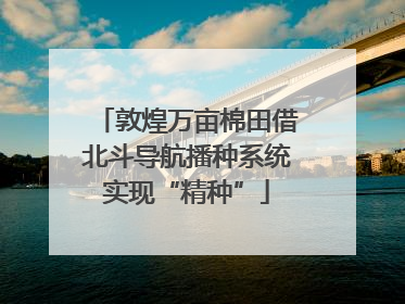 敦煌万亩棉田借北斗导航播种系统实现“精种”
