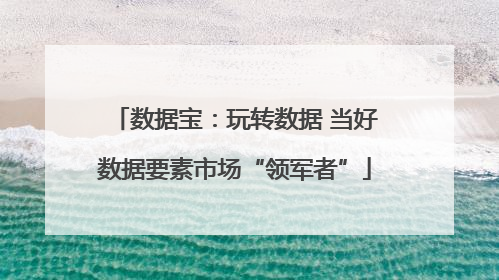 数据宝：玩转数据 当好数据要素市场“领军者”