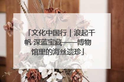文化中国行｜浪起千帆 深蓝宝藏——博物馆里的海丝遗珍