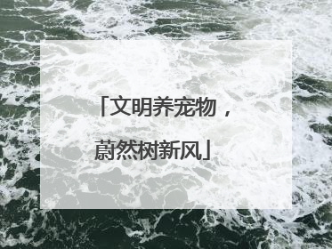 文明养宠物，蔚然树新风
