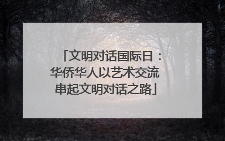 文明对话国际日：华侨华人以艺术交流串起文明对话之路