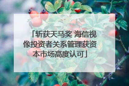 斩获天马奖 海信视像投资者关系管理获资本市场高度认可