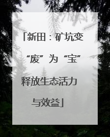 新田：矿坑变“废”为“宝” 释放生态活力与效益