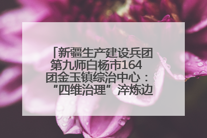 新疆生产建设兵团第九师白杨市164团金玉镇综治中心：“四维治理”淬炼边疆“枫桥样本”
