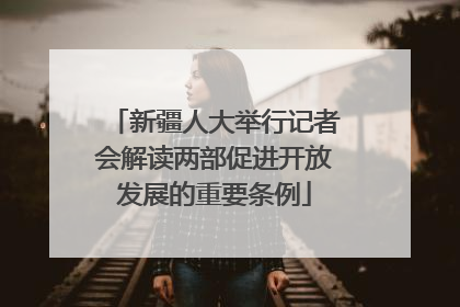 新疆人大举行记者会解读两部促进开放发展的重要条例