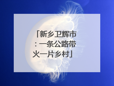 新乡卫辉市：一条公路带火一片乡村