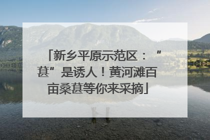 新乡平原示范区：“葚”是诱人！黄河滩百亩桑葚等你来采摘