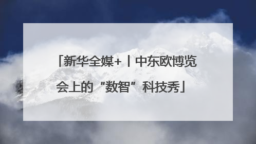 新华全媒+丨中东欧博览会上的“数智”科技秀