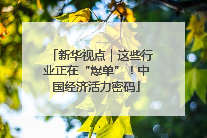 新华视点｜这些行业正在“爆单”！中国经济活力密码