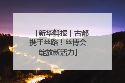 新华鲜报｜古都携手丝路！丝博会绽放新活力