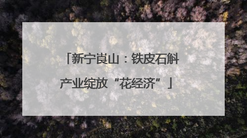 新宁崀山：铁皮石斛产业绽放“花经济”