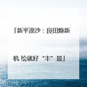 新平漠沙：良田焕新机 绘就好“丰”景