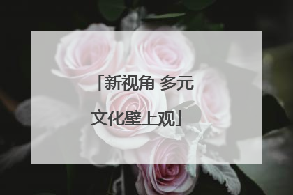 新视角 多元文化壁上观