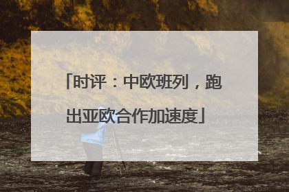 时评：中欧班列，跑出亚欧合作加速度
