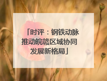 时评：钢铁动脉推动皖赣区域协同发展新格局