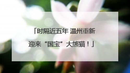 时隔近五年 温州重新迎来“国宝”大熊猫！