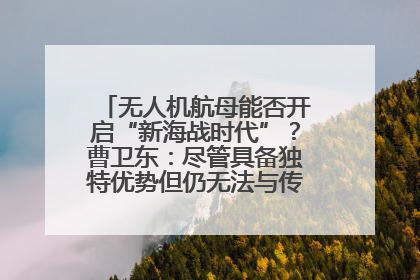 无人机航母能否开启“新海战时代”？曹卫东：尽管具备独特优势但仍无法与传统航母相提并论