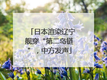 日本渲染辽宁舰穿“第二岛链”，中方发声