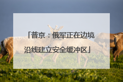 普京：俄军正在边境沿线建立安全缓冲区
