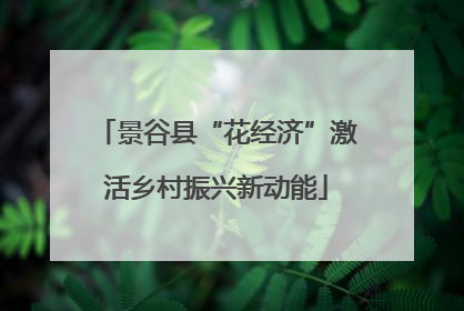 景谷县“花经济”激活乡村振兴新动能