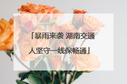 暴雨来袭 湖南交通人坚守一线保畅通