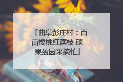 曲阜彭庄村：百亩樱桃红满枝 硕果盈园采摘忙