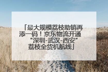 最大规模荔枝助销再添一码！京东物流开通“深圳-武汉-西安” 荔枝全货机航线
