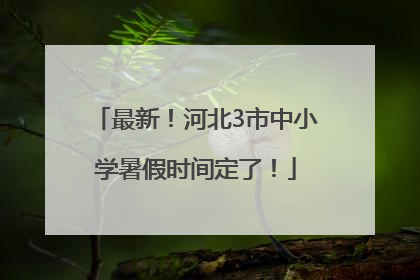 最新！河北3市中小学暑假时间定了！