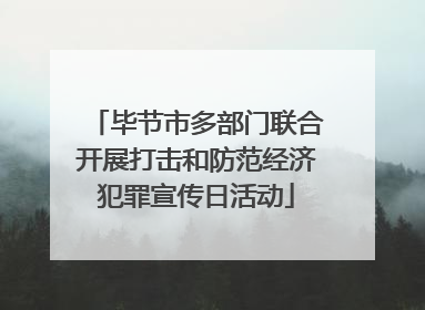 毕节市多部门联合开展打击和防范经济犯罪宣传日活动