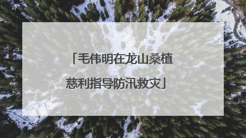 毛伟明在龙山桑植慈利指导防汛救灾