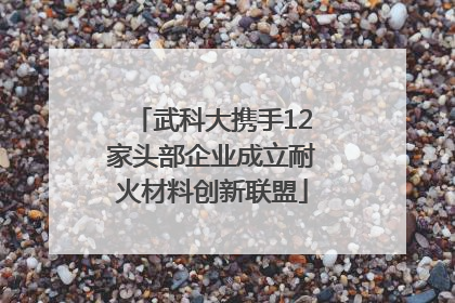 武科大携手12家头部企业成立耐火材料创新联盟