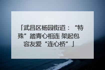 武昌区杨园街道：“特殊”踏青心相连 架起包容友爱“连心桥”