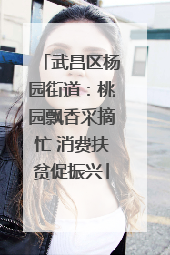 武昌区杨园街道：桃园飘香采摘忙 消费扶贫促振兴