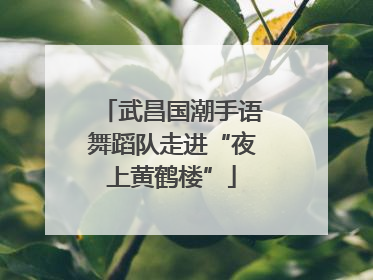 武昌国潮手语舞蹈队走进“夜上黄鹤楼”