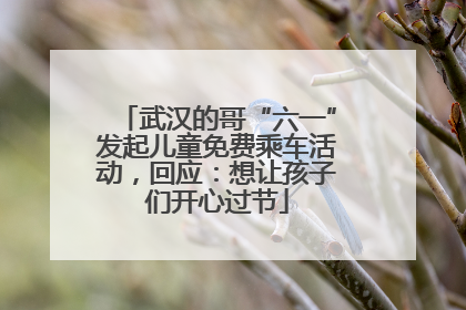 武汉的哥“六一”发起儿童免费乘车活动，回应：想让孩子们开心过节