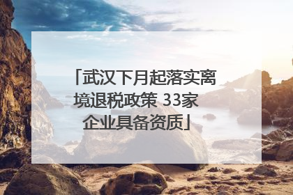 武汉下月起落实离境退税政策 33家企业具备资质